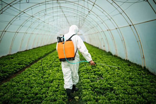 Best Affordable Pest Control Services  in Theodore, AL