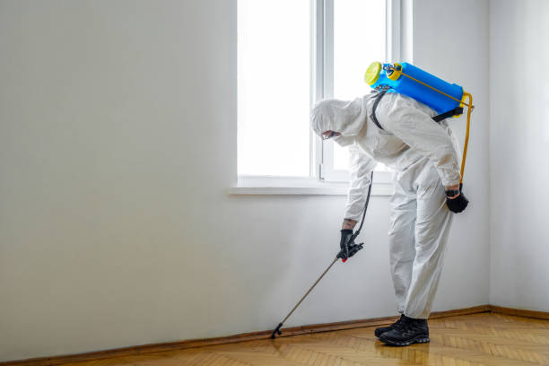 Best Pest Prevention Services  in Theodore, AL