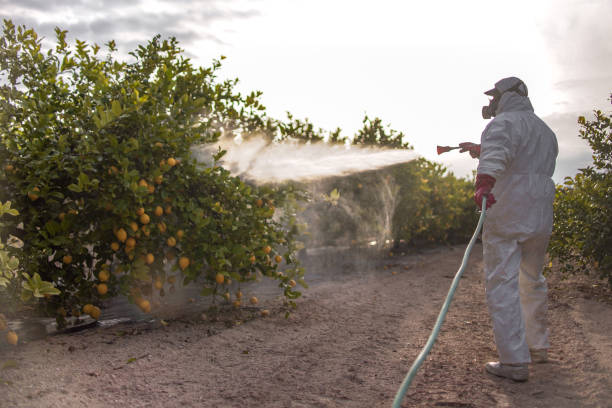 Best Pest Control for Restaurants  in Theodore, AL