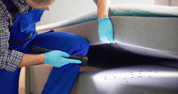 Best Pest Inspection Near Me  in Theodore, AL