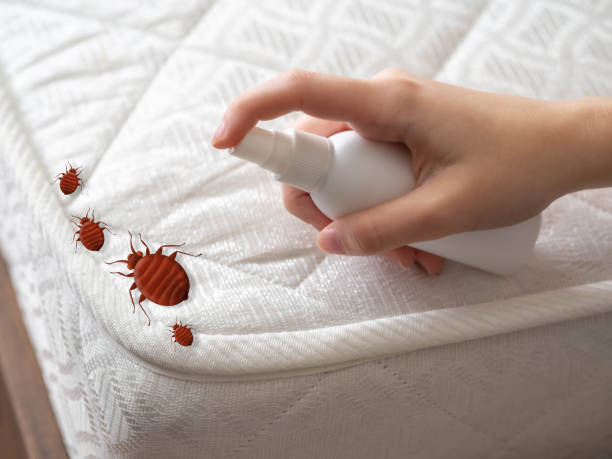 Best Wasp Removal Services  in Theodore, AL