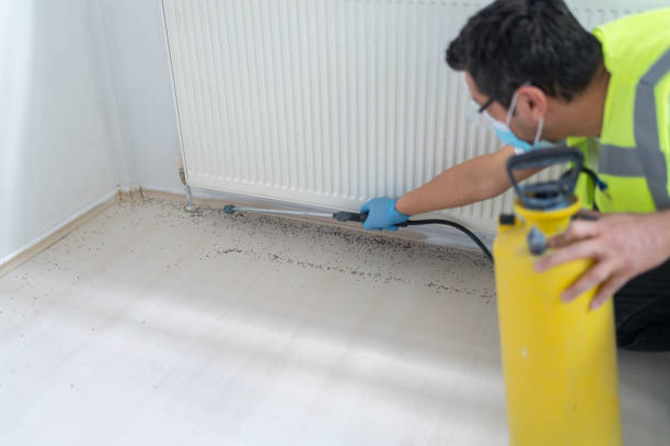 Best Termite Control Services  in Theodore, AL