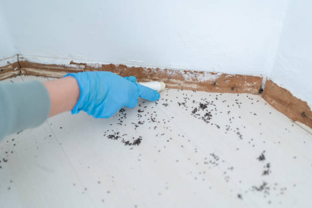 Best Exterminator Services  in Theodore, AL